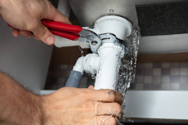 Best Water damage mitigation services  in Coronado, CA