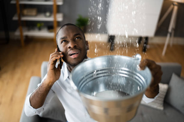 Best Mold removal after water damage  in Coronado, CA
