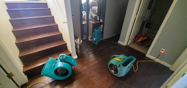 Best Local water damage restoration  in Coronado, CA
