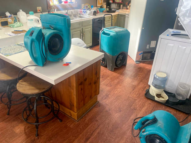 Best Water damage restoration near me  in Coronado, CA