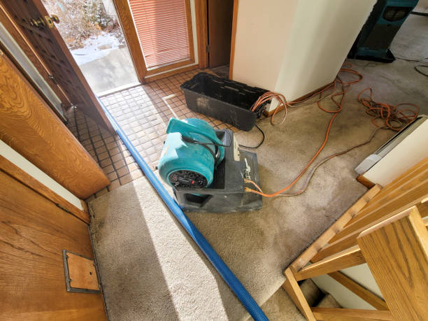 Best 24-hour water damage restoration  in Coronado, CA
