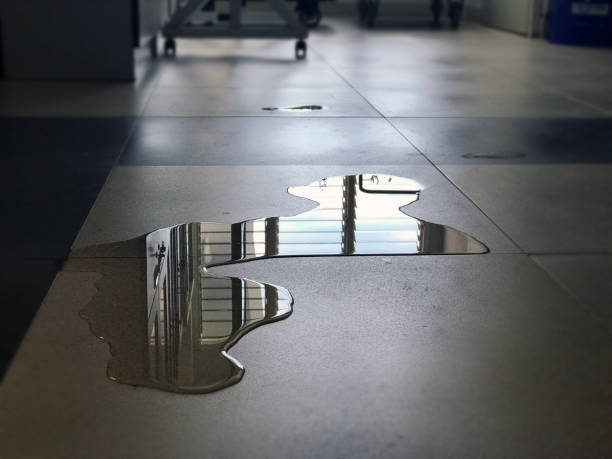 Best Local water damage restoration  in Coronado, CA