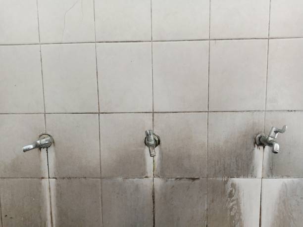 Best Water damage restoration near me  in Coronado, CA