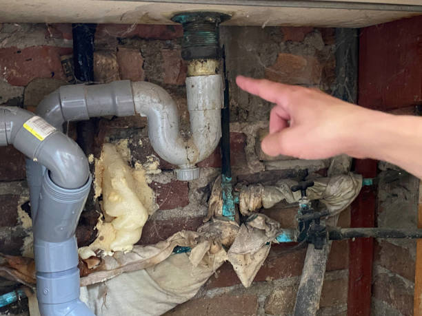 Best Water damage contractors near me  in Coronado, CA
