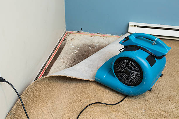 Reliable Coronado, CA Water damage restoration Solutions